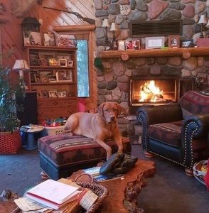 Meet your Posher, Jon